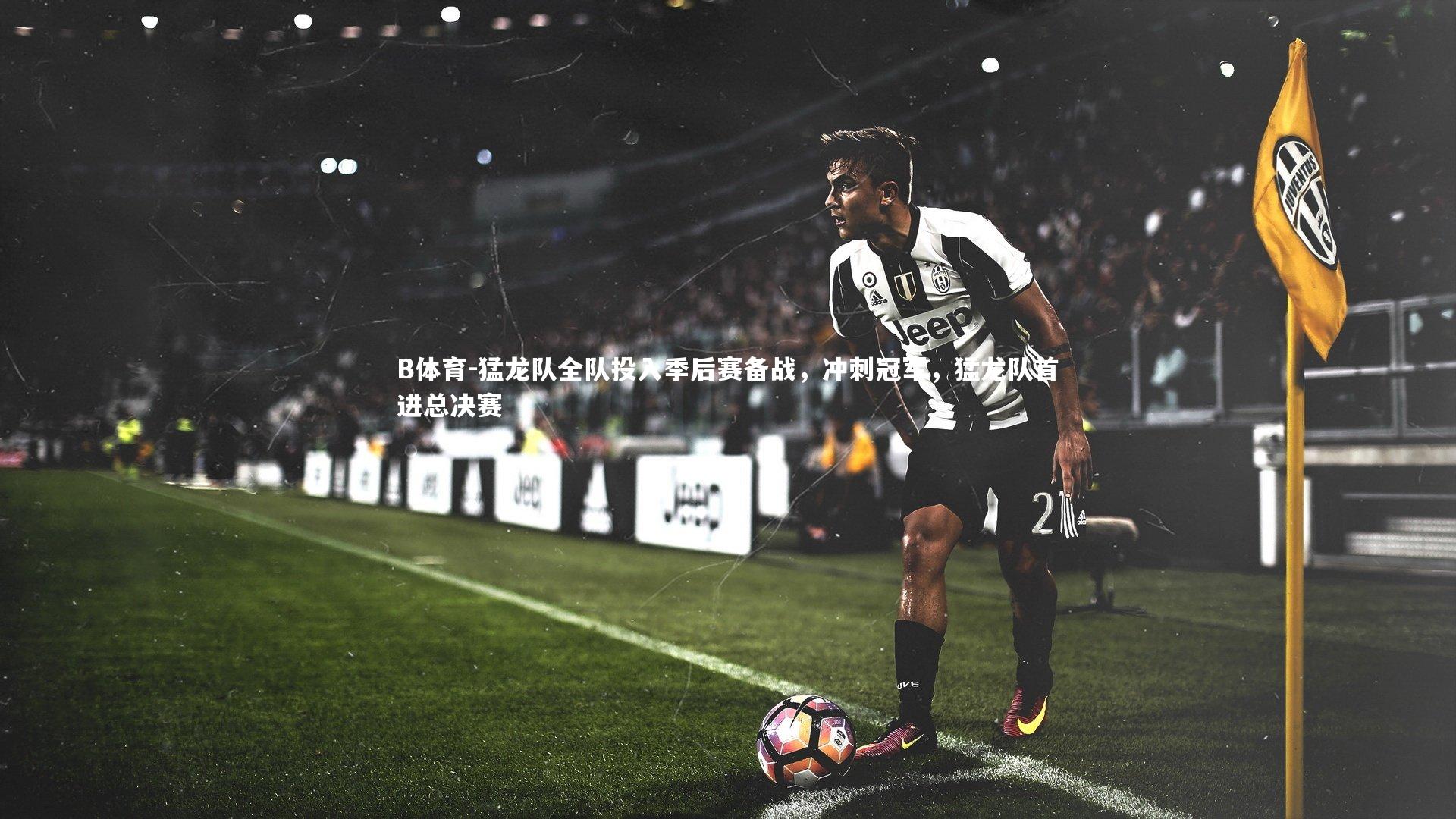 猛龙队全队投入季后赛备战，冲刺冠军，猛龙队首进总决赛